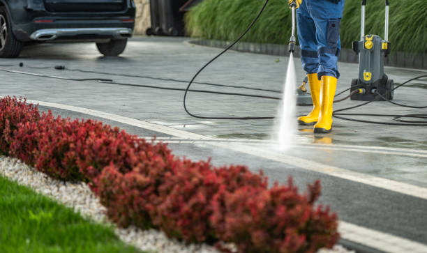 Best Roof Pressure Washing  in Rice Lake, WI